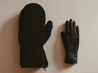 Regular gloves &amp; packet warmers