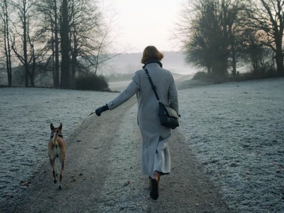 Walking a dog on a frosty path at dawn
